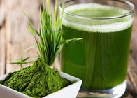 Pó verde do suco da grama de cevada do pó da saúde de 100 malhas para o suplemento ao alimento